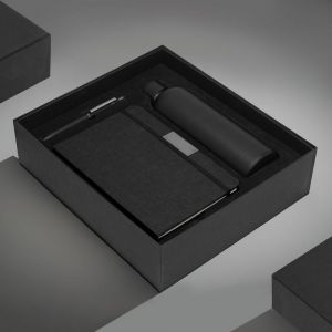 SET EJECUTIVO